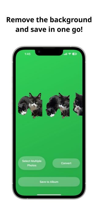 Bulk Cutout Screenshot 3 of 4
