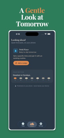 Loam — Calm Habit Tracker Screenshot 4 of 5