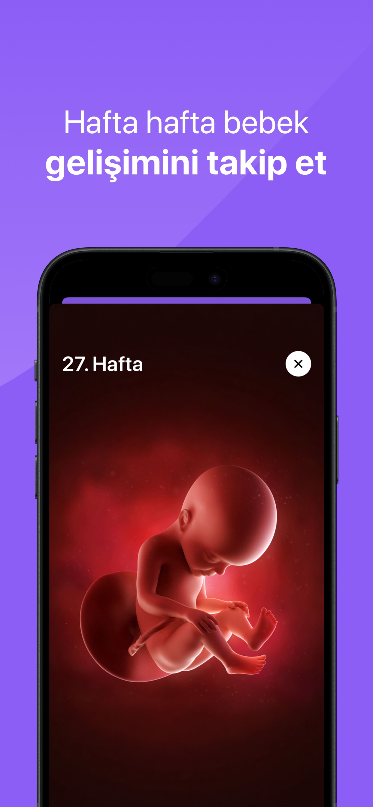 MomMentor - Hamilelik Takibi