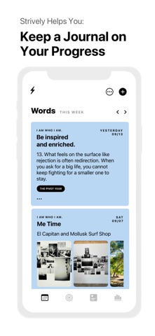 Goals + Habits = Strively iPhone screenshot