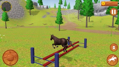 Wild Horse Equestrian Family Screenshot