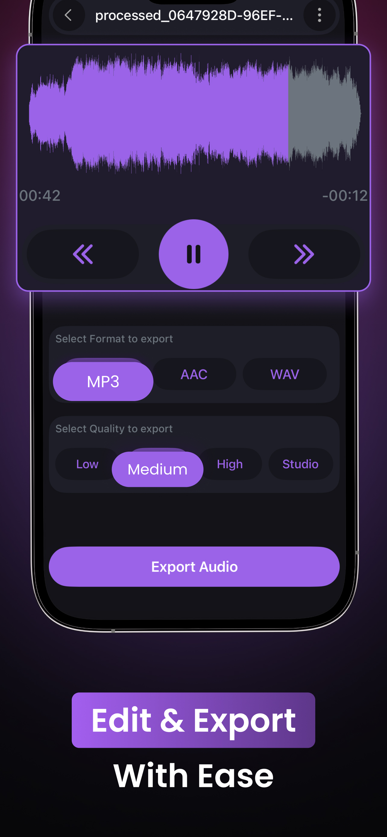 Voice Reverse Audio Play screenshot 2
