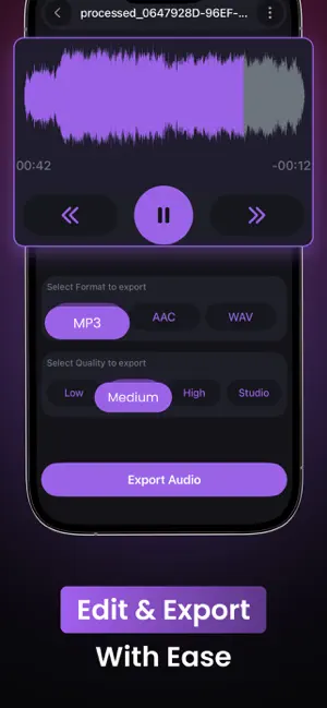 Voice Reverse Audio Play screenshot 2