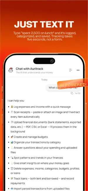 Auritrack: AI Expense Tracker screenshot 2