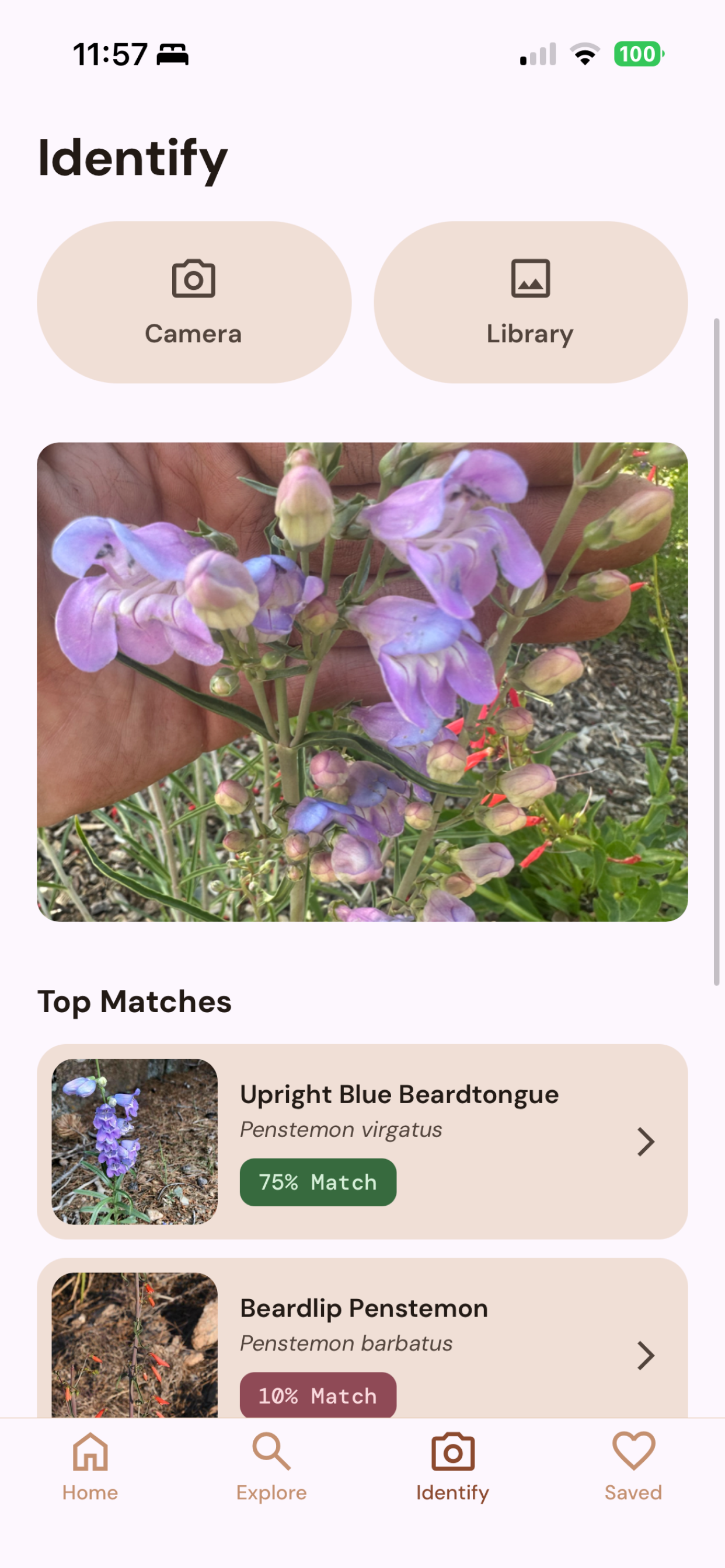 Biota: Native Plants screenshot 3
