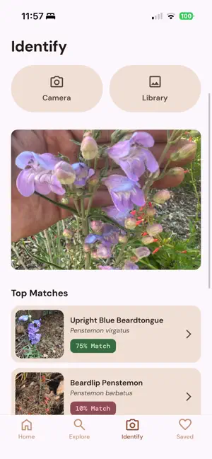 Biota: Native Plants screenshot 3
