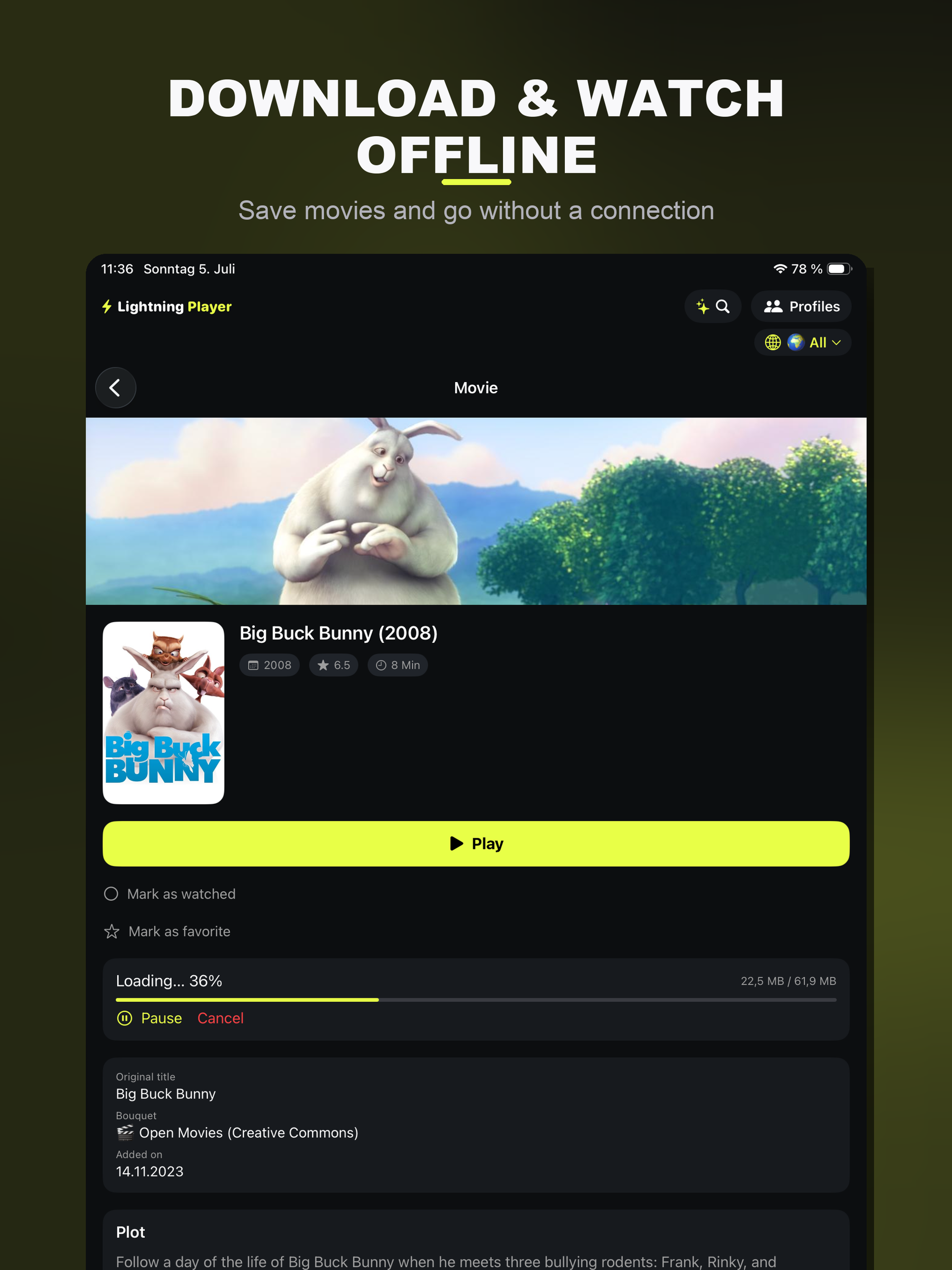 Lightning Player Pro screenshot 19