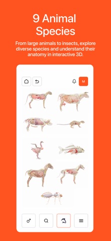 Vetty 3D mobile Screenshot 6 of 7