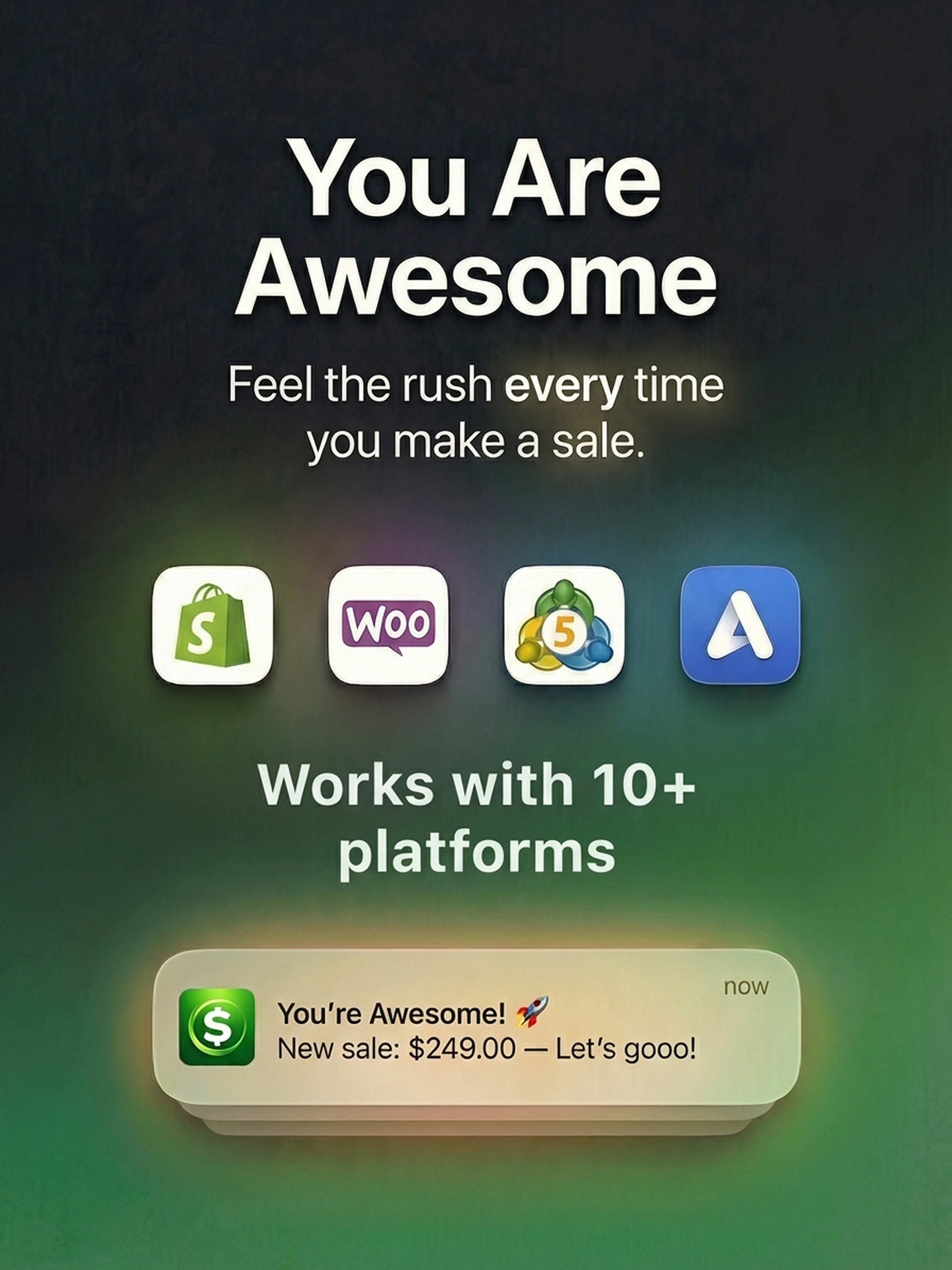 You Are Awesome - Sales Alerts screenshot 6