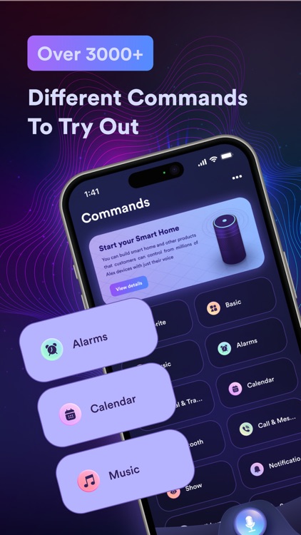 EchoApp Voice, Commands, Setup