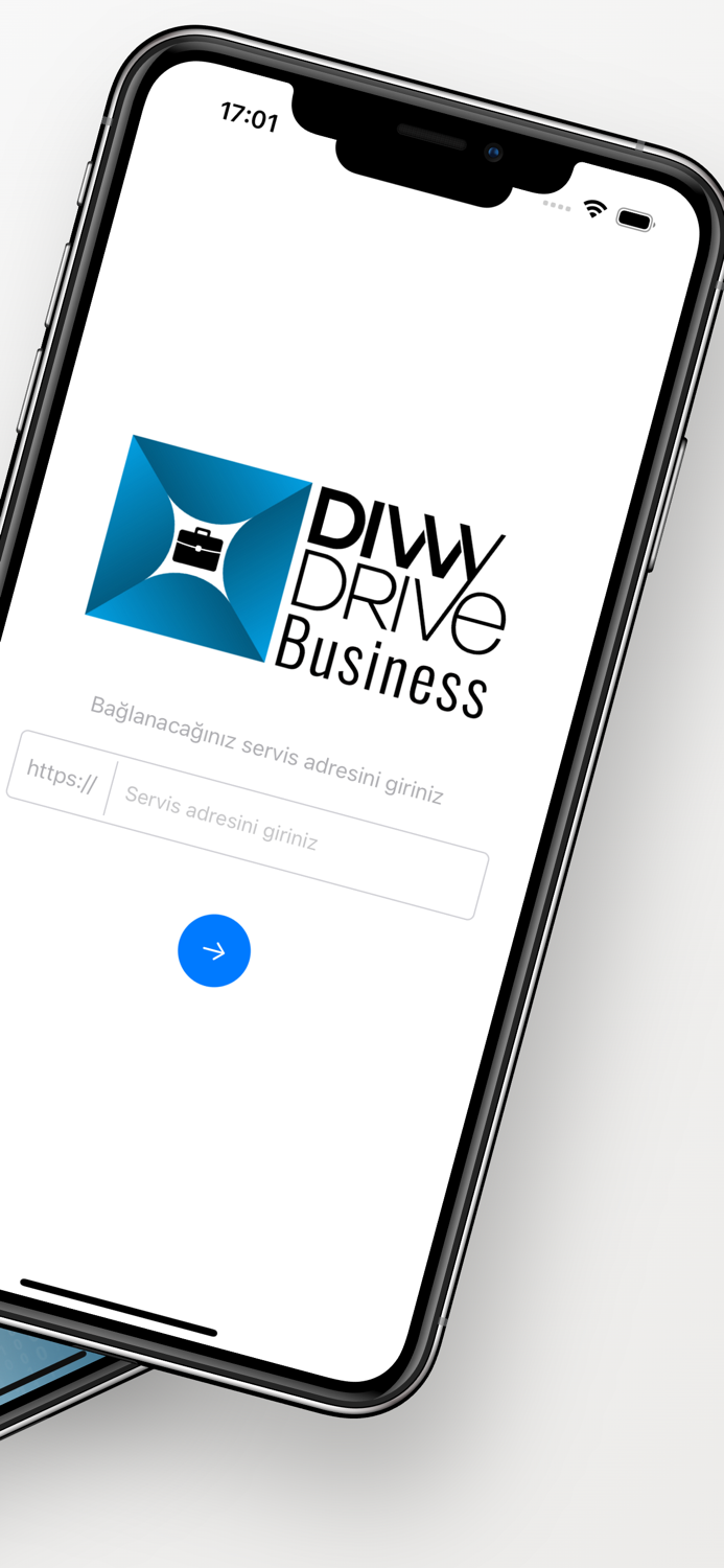 DivvyDrive Business