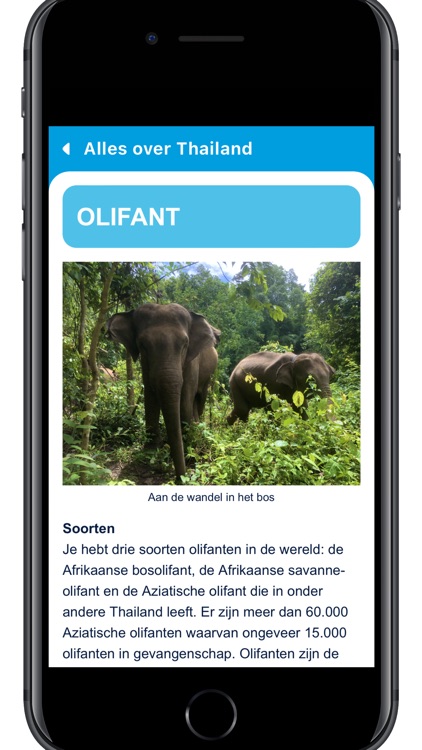 TravelKids Thailand (NED) screenshot-3