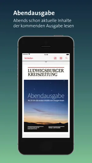 LKZ e-paper screenshot 4