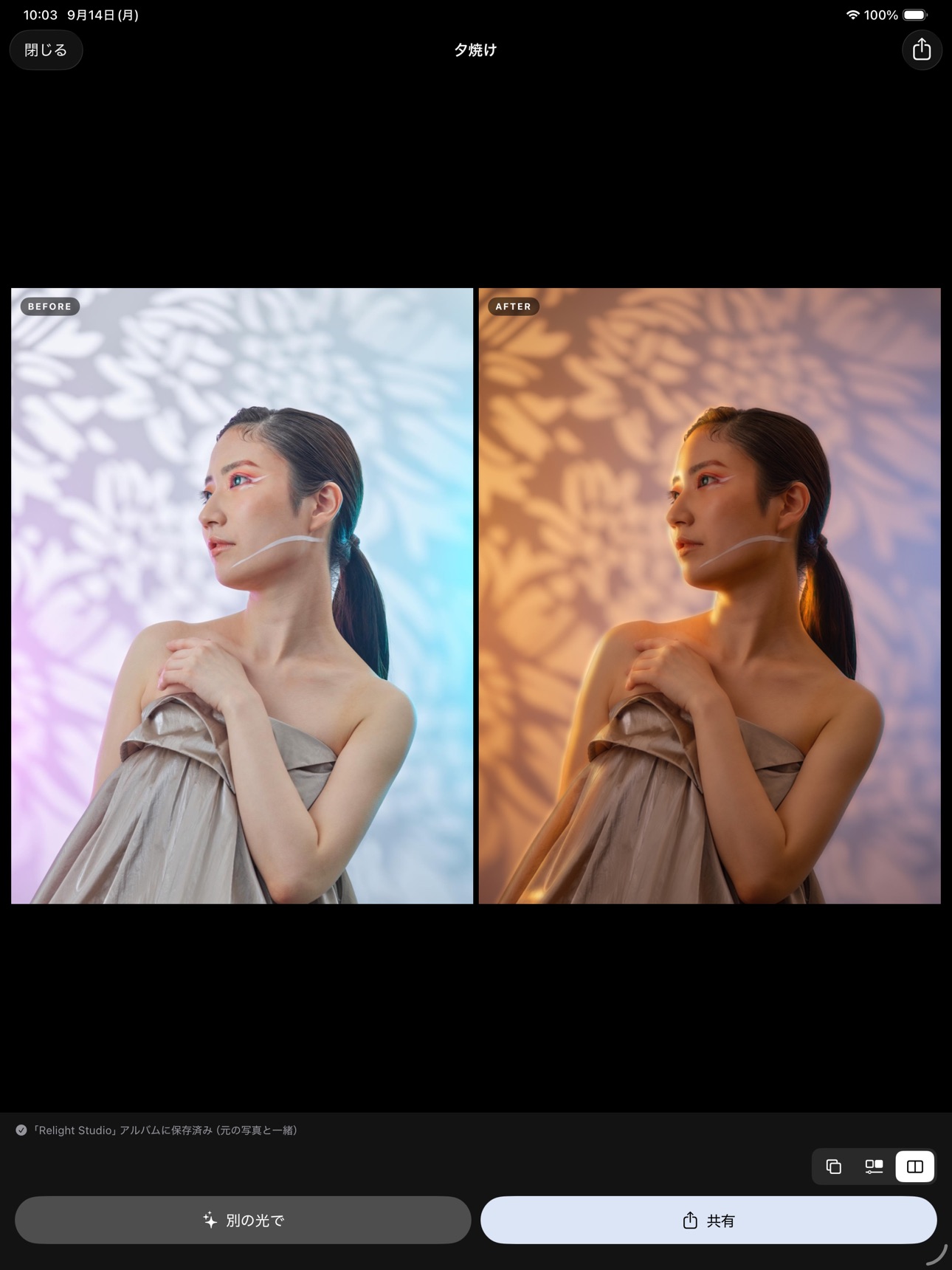 Screenshot 8 of Relight Studio