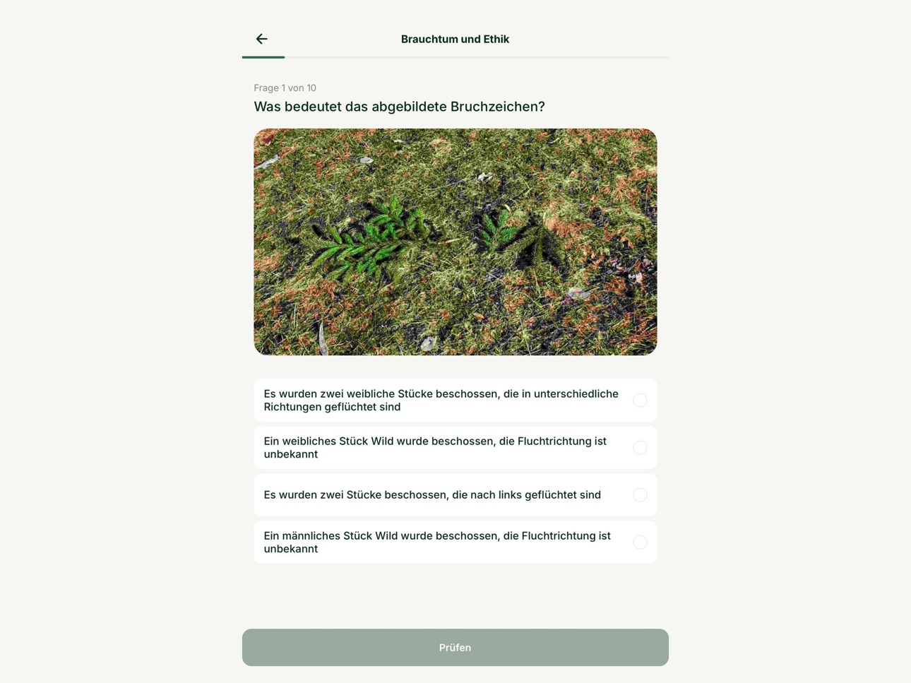 Screenshot 9 of Leitbruch