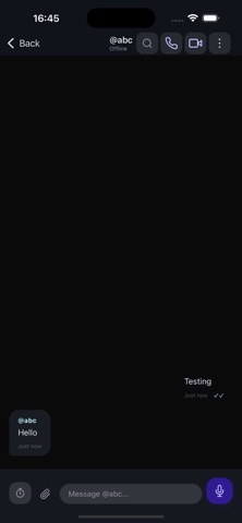 VoidSend iPhone screenshot