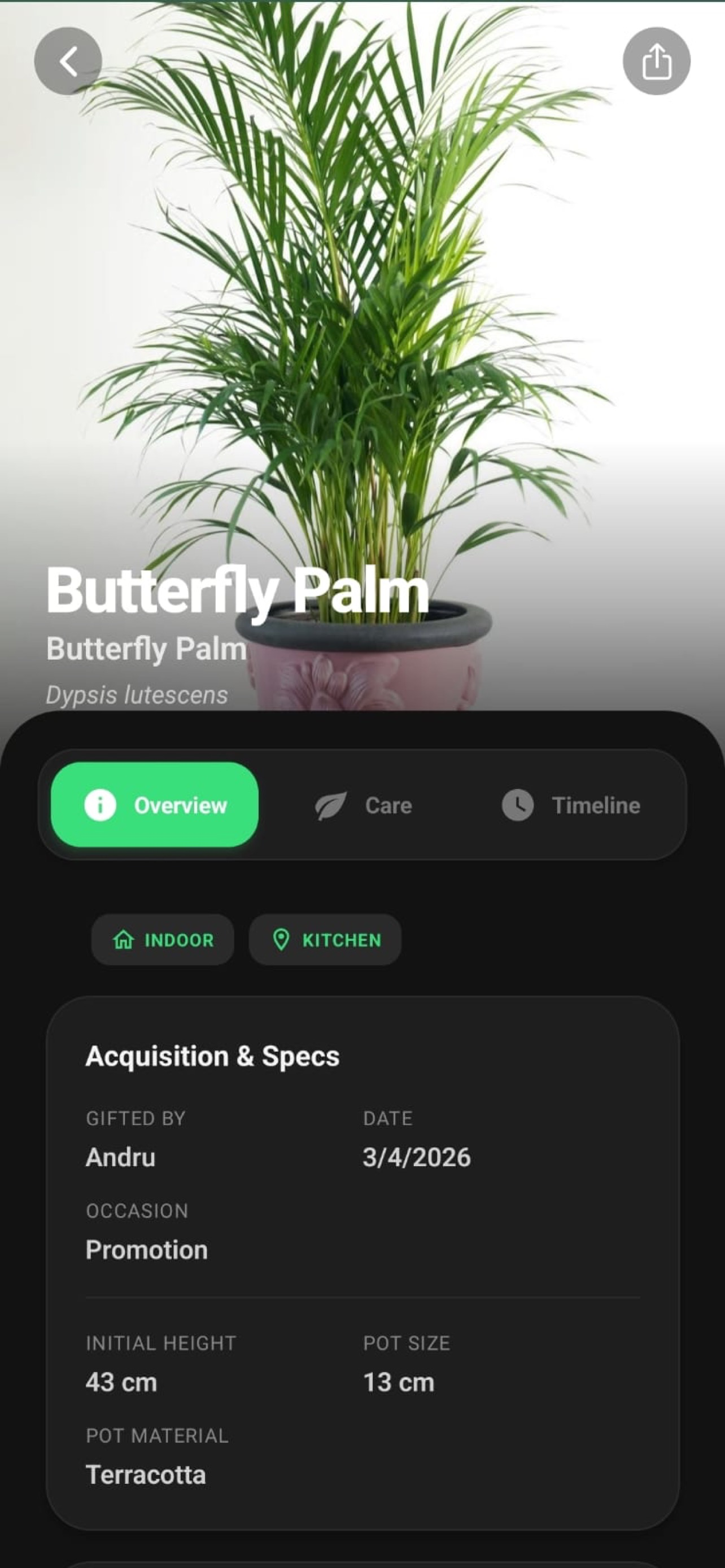 PlantSaga screenshot 3