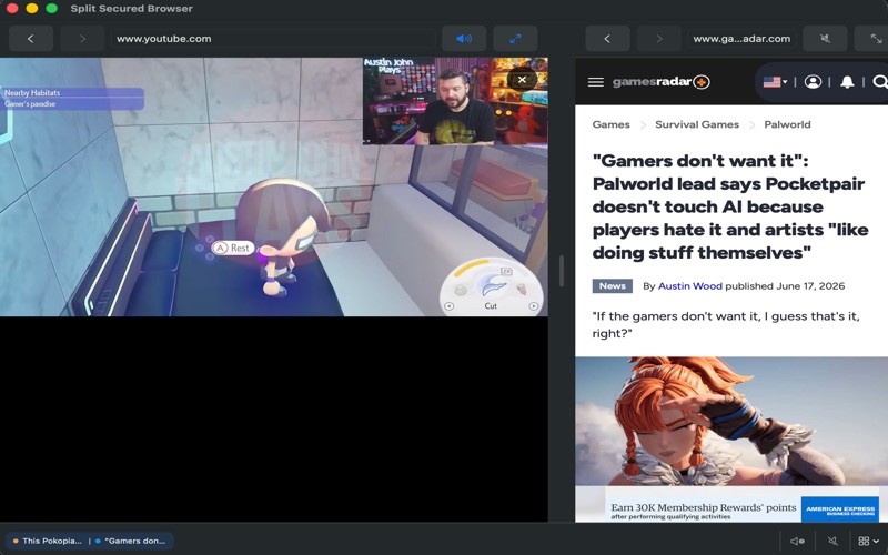 SplitSecuredBrowser screenshot