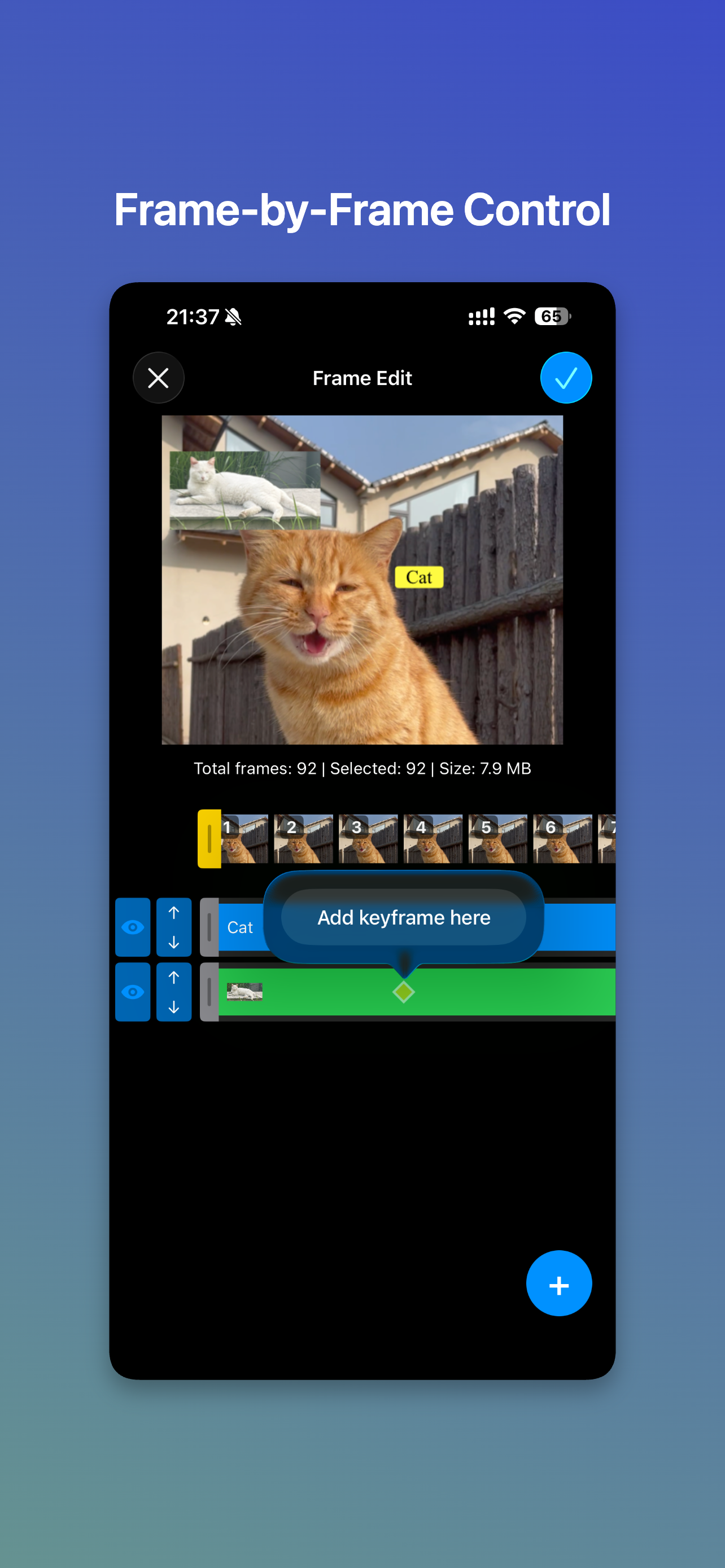 GifSnip+ screenshot 4