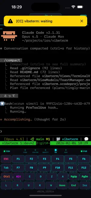 VibeTerm iPhone screenshot 3