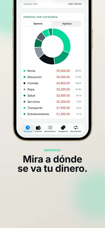 Caudara: Flujo de efectivo screenshot 3 of 7