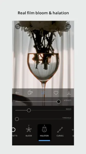 RNI Films: Photo & RAW Editor screenshot 3