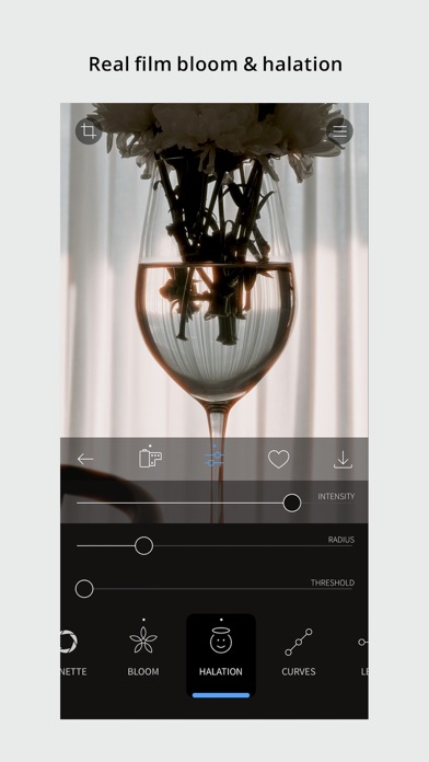 Screenshot #3 pour RNI Films: Photo & RAW Editor