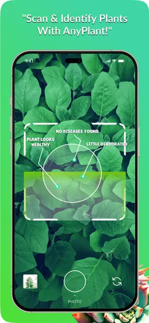AnyPlant: Ai Plant Identifier screenshot 3
