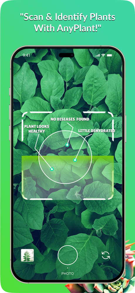 AnyPlant: AI Plant ID & Chat screenshot 3