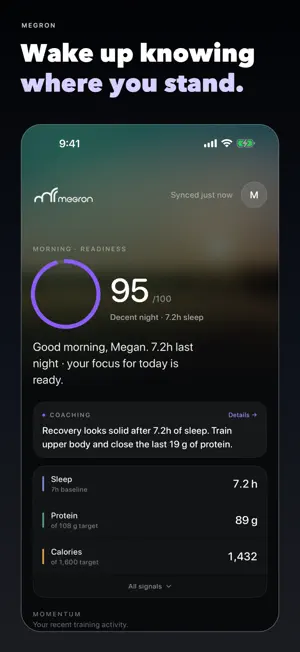 Megron screenshot 1