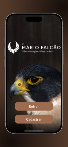 Falcão screenshot