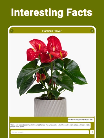 Plant Finder Tree ID Treelogy iPad screenshot