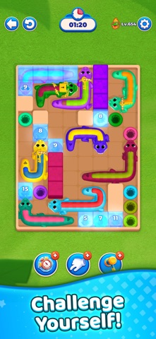 Pet Tunnel Puzzle iPhone screenshot