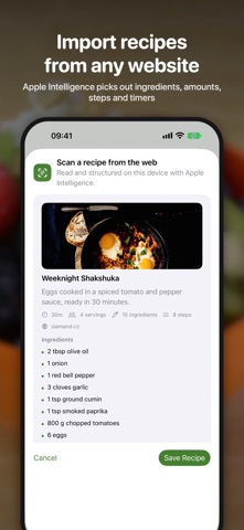 Pesto Recipe screenshot 3
