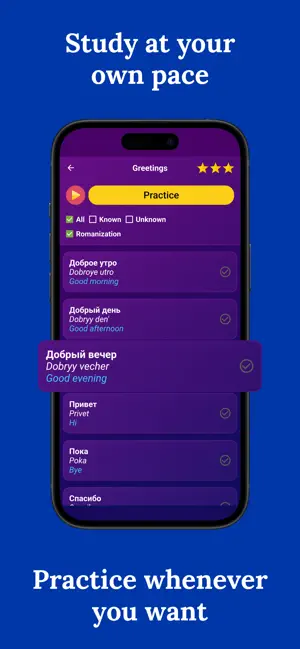 Learn Russian (Beginners) screenshot 3