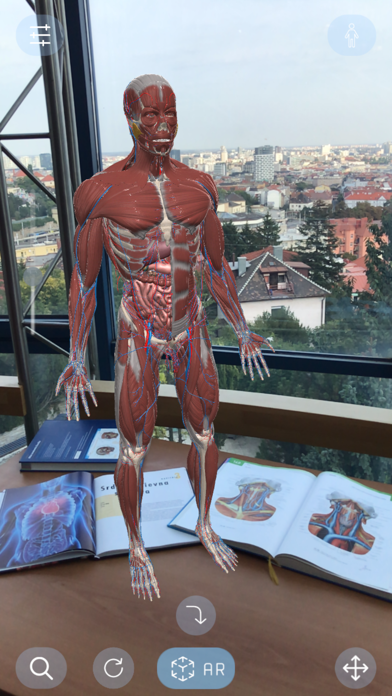 AR Anatomy Screenshot