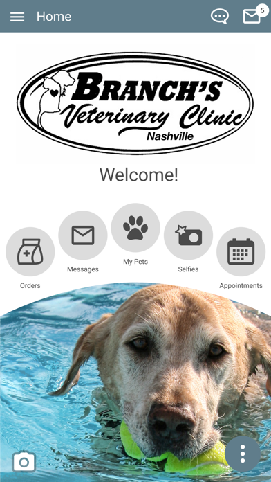 Branchs Vet Clinic Nashville iPhone screenshot