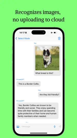 PocketGPT: Private AI screenshot 1