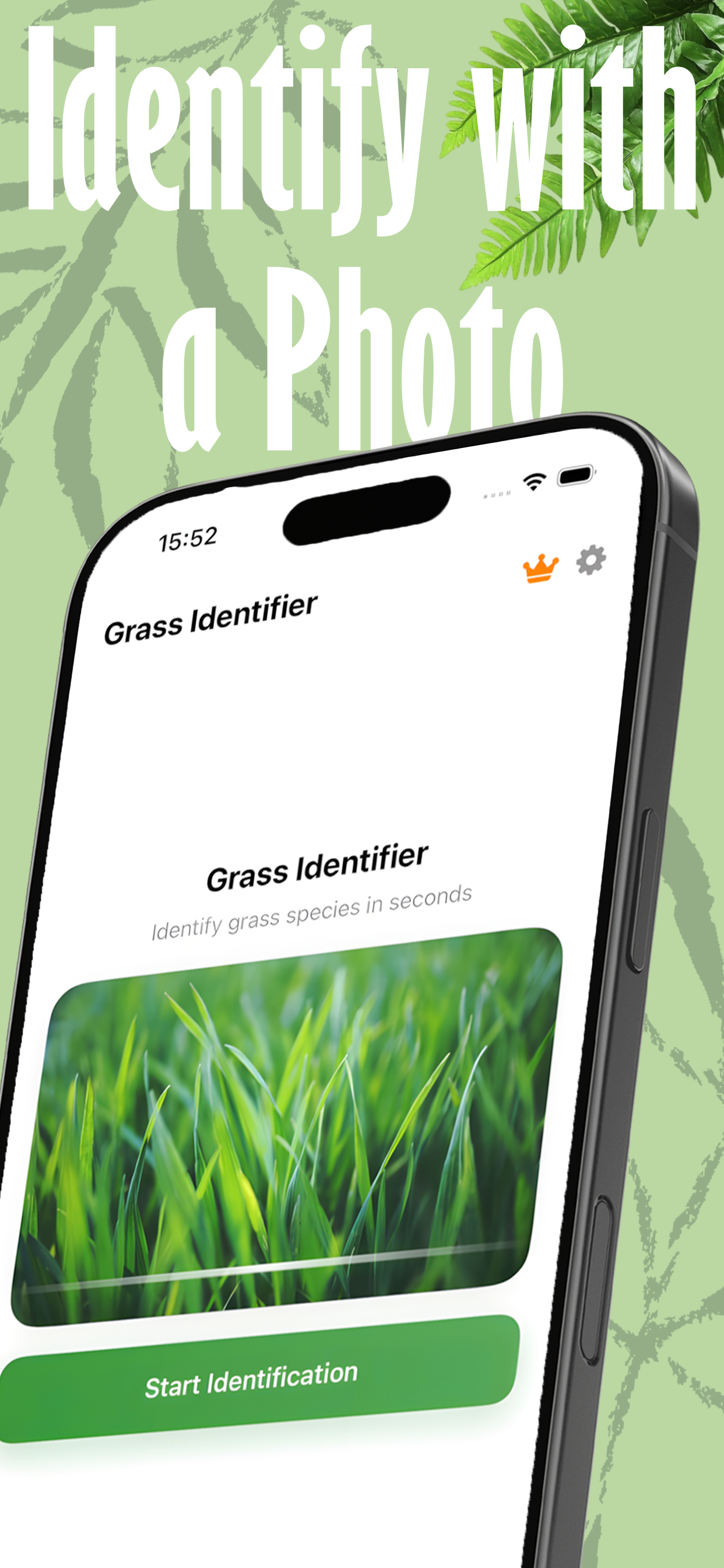 Grass Identifier Grass Scanner