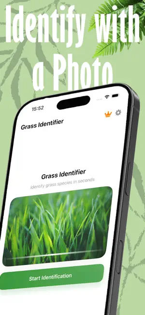 Grass Identifier Grass Scanner screenshot 3