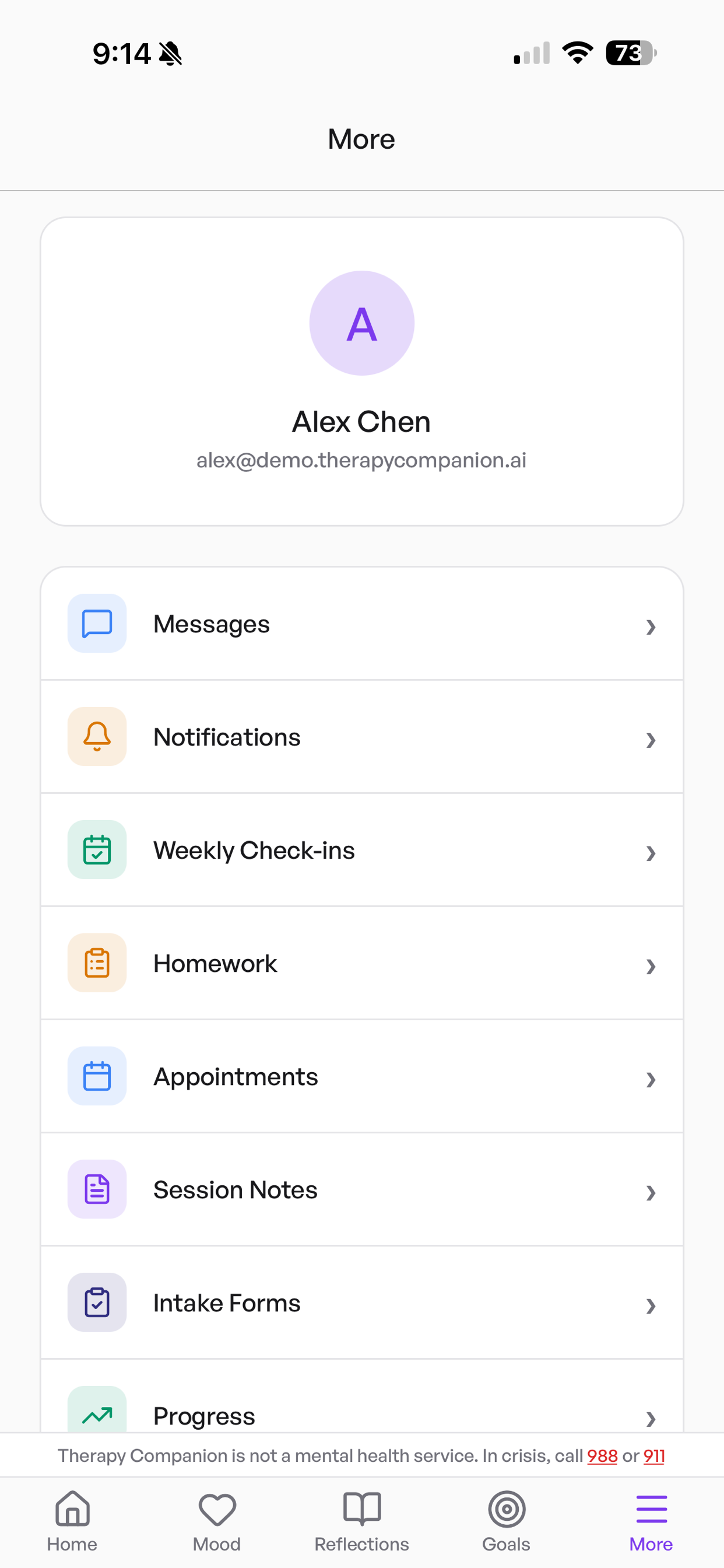 Therapy Companion AI