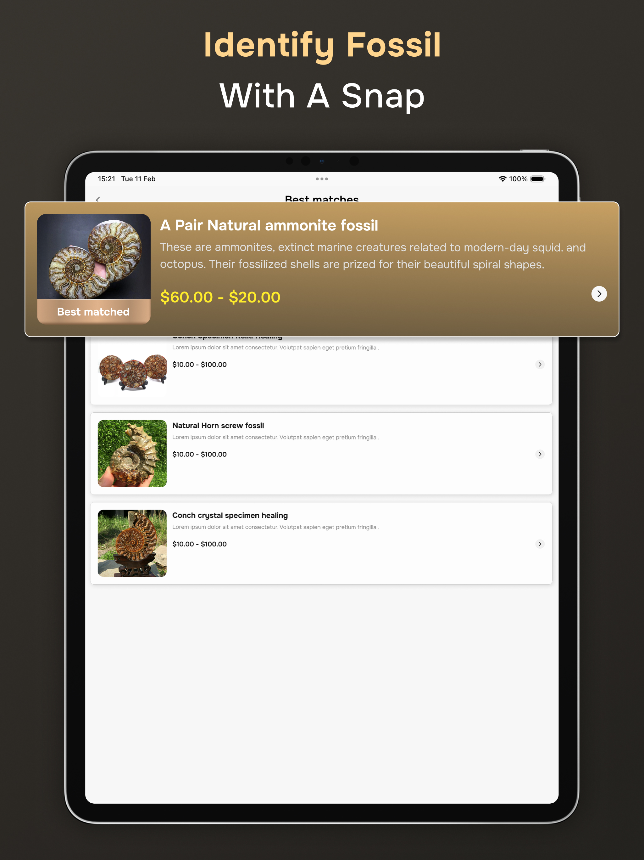 Fossil Identifier