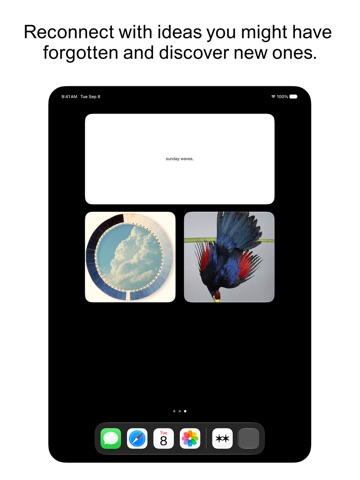 Are.na iPad screenshot 3