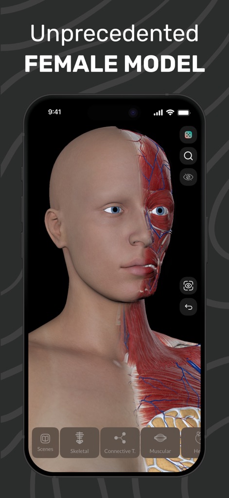 Easy Anatomy 3D - Explore the app's anatomically accurate female model, showcasing intricate musculature and vascular systems with detailed precision.