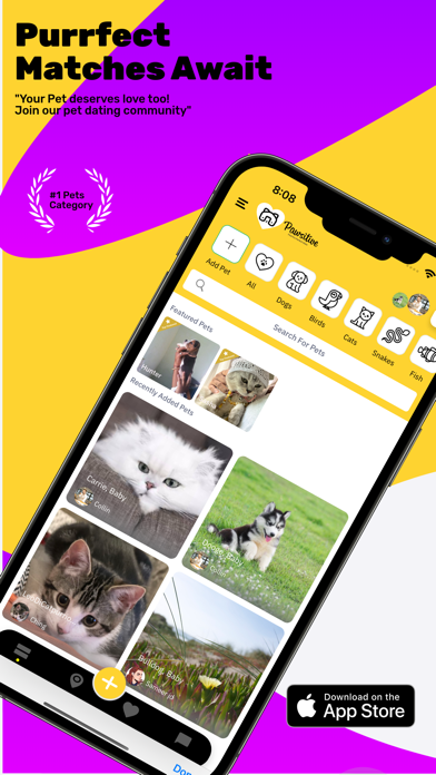 Pawsitive-Pet Dating Matches Screenshot