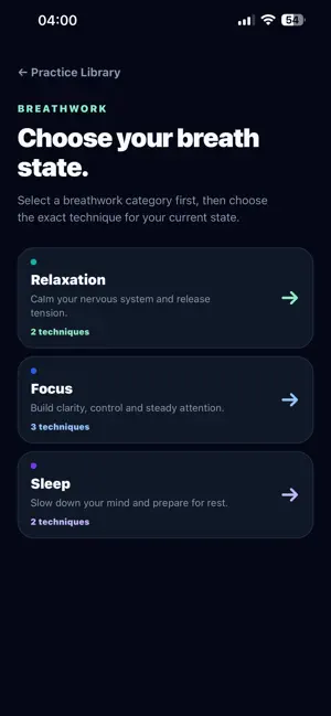 Aoryn screenshot 1