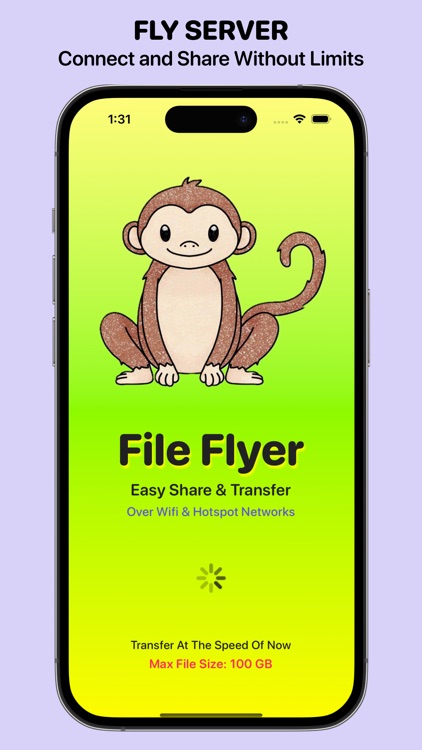 File Flyer EZ Share & Transfer