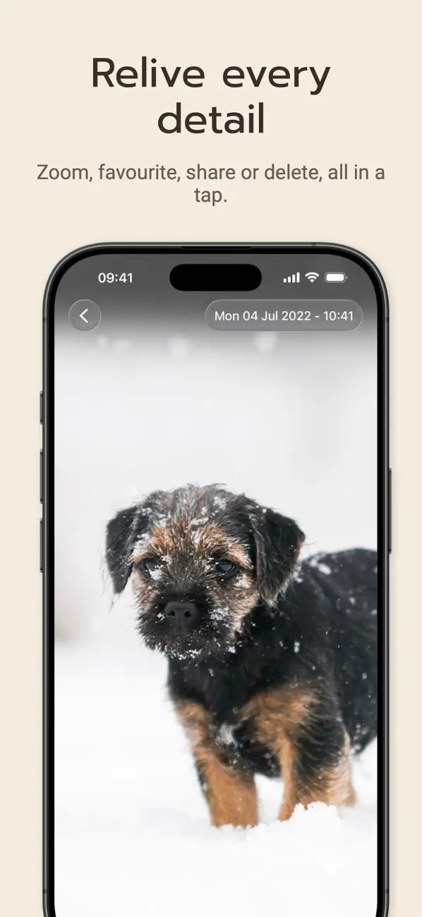 Screenshot #3 pour On This Day Photos