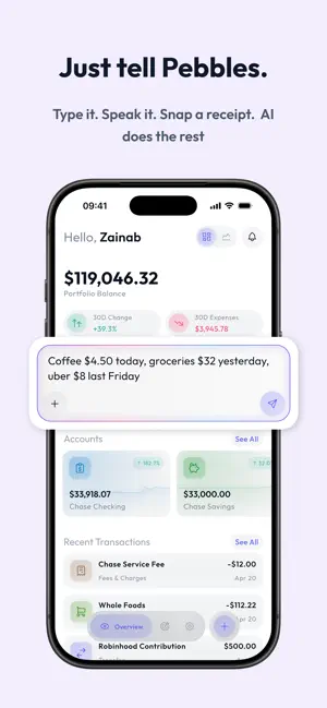 Pebbles - AI Money Manager screenshot 1