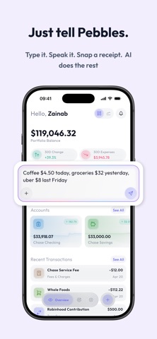 Pebbles - AI Money Manager Screenshot 1 of 6